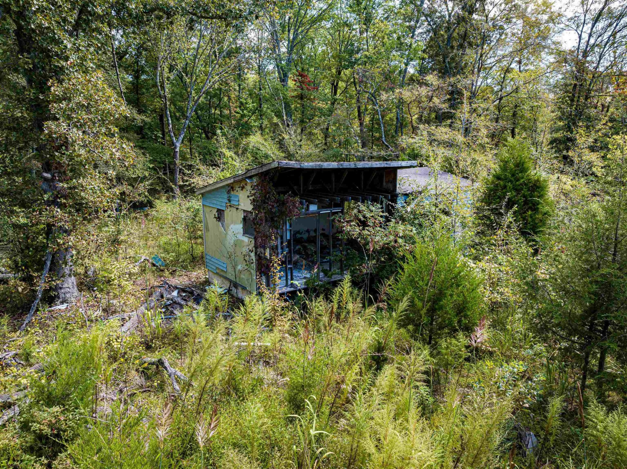 2642 Brodies Landing Road Parsons, TN 38363 - Photo 25 of 45 a view of outdoor space and garden