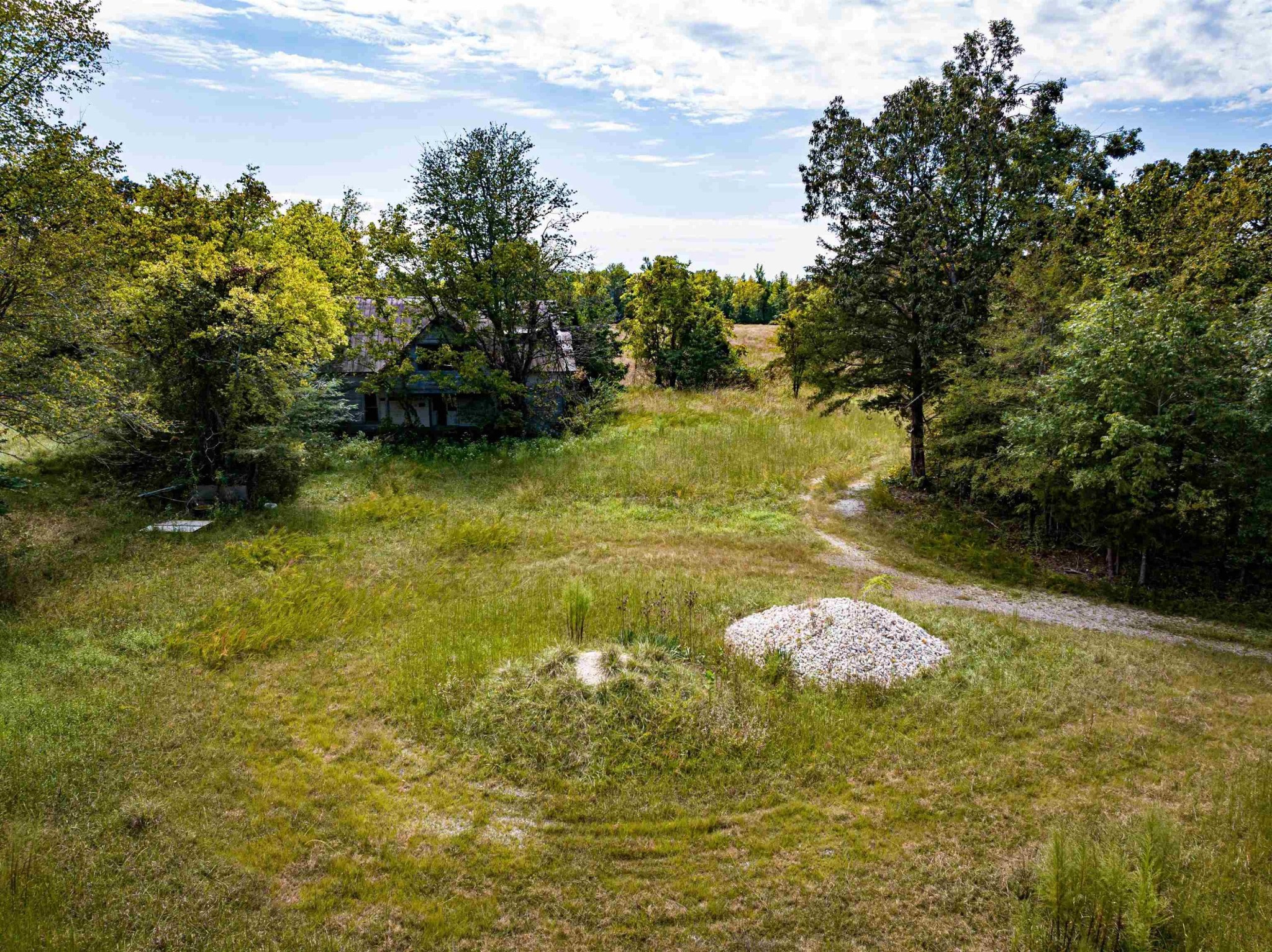 2642 Brodies Landing Road Parsons, TN 38363 - Photo 26 of 45