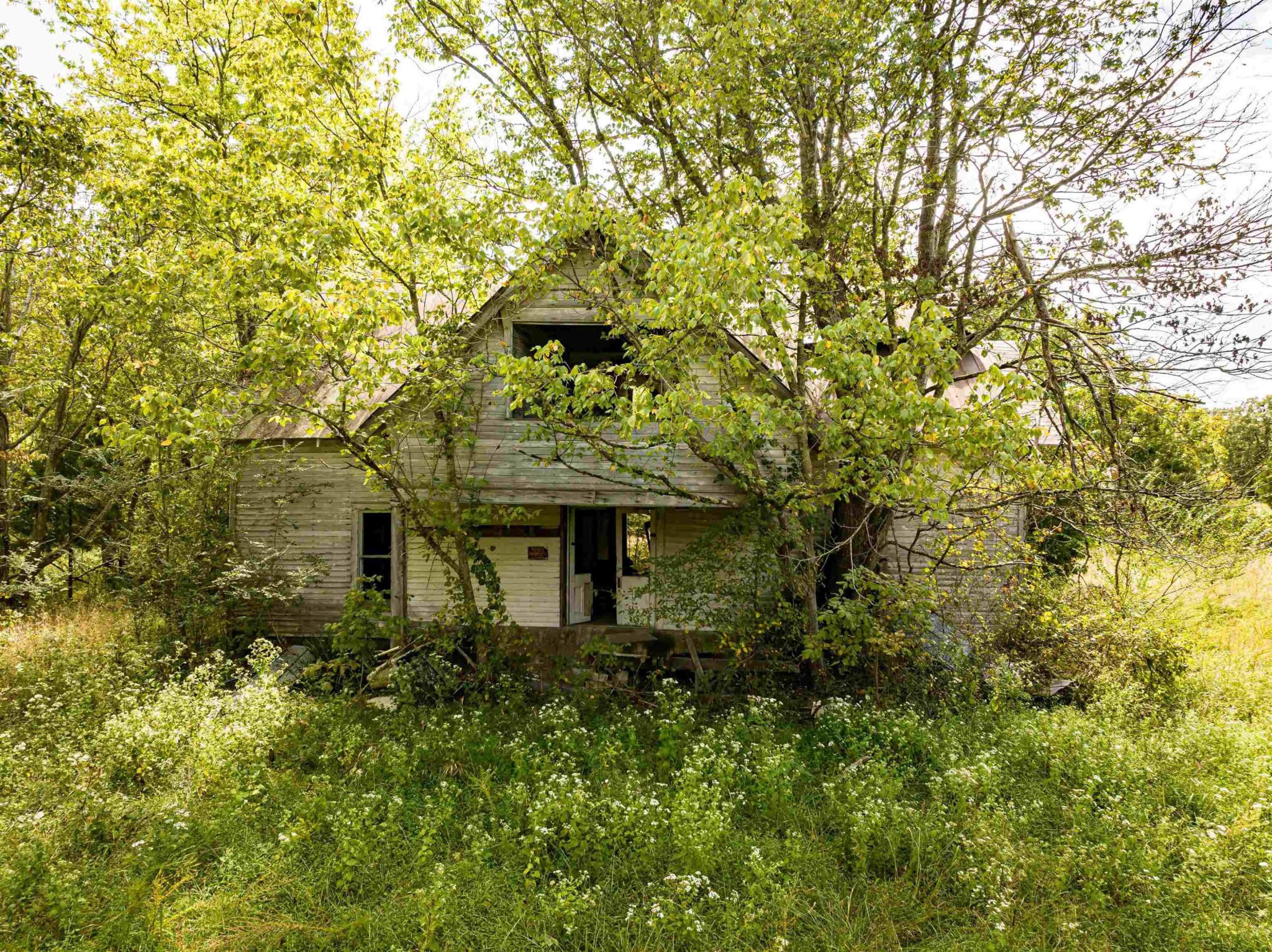2642 Brodies Landing Road Parsons, TN 38363 - Photo 27 of 45 a view of a garden with plants