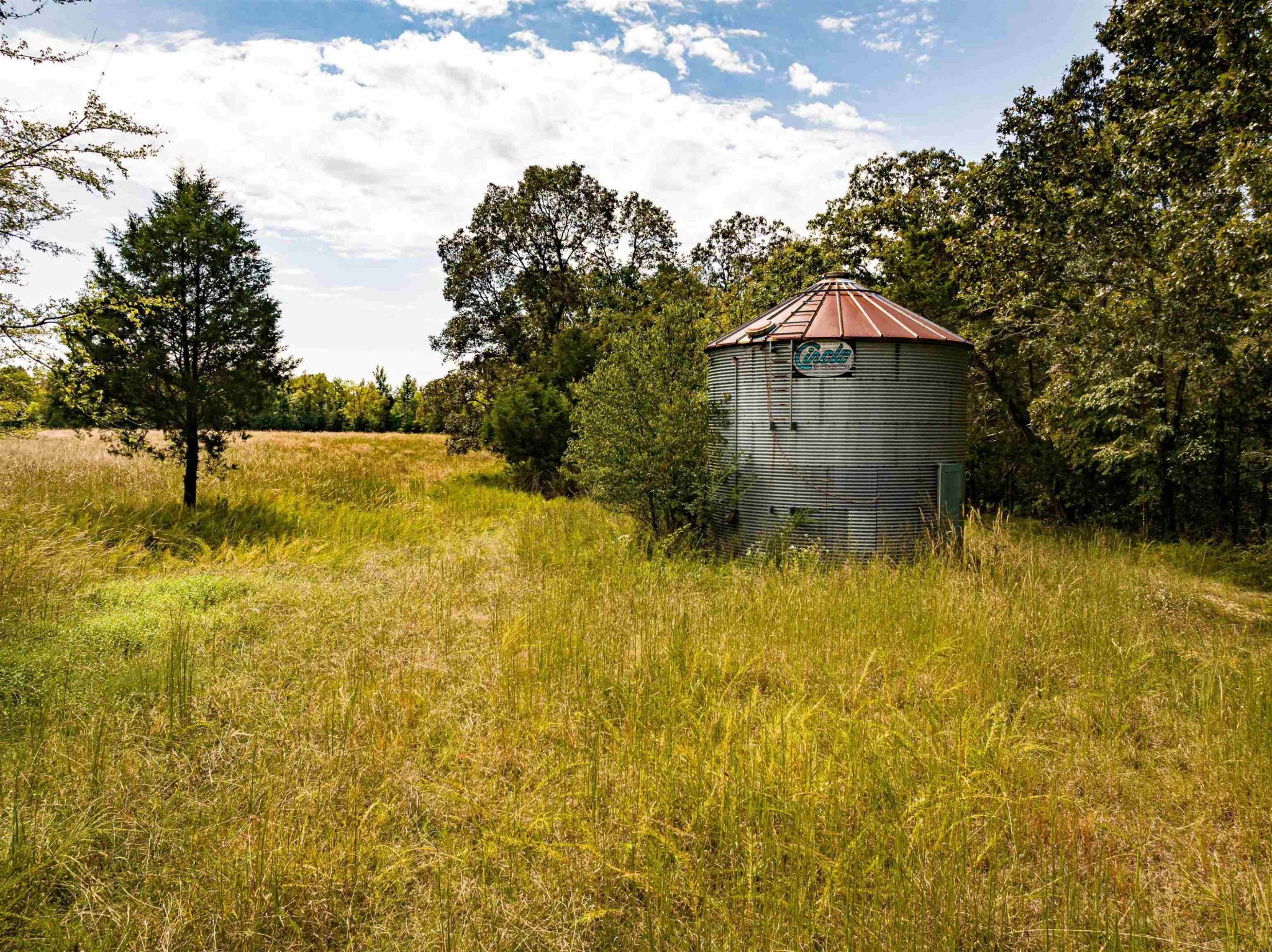 2642 Brodies Landing Road Parsons, TN 38363 - Photo 30 of 45 a big yard with large trees