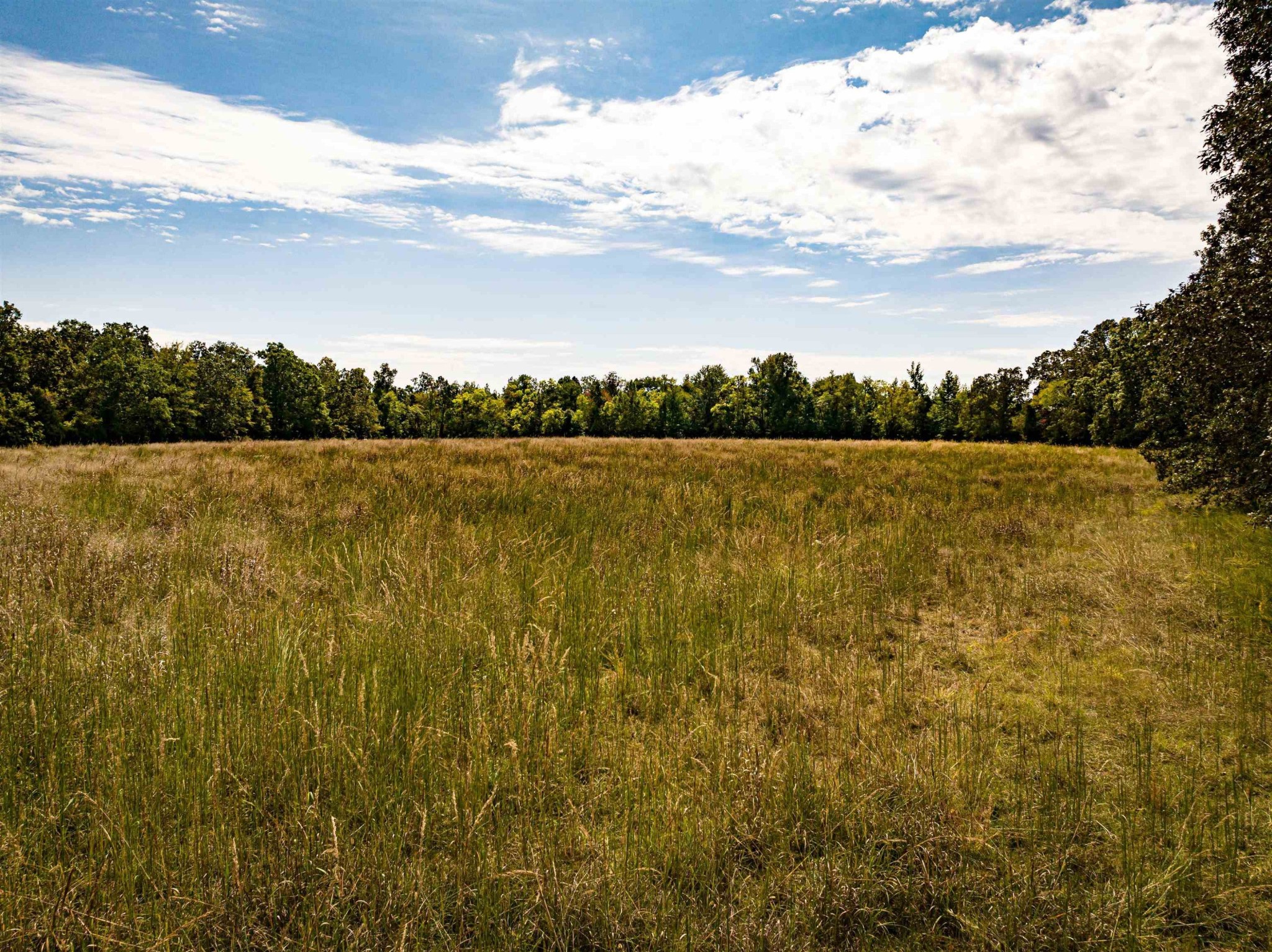 2642 Brodies Landing Road Parsons, TN 38363 - Photo 31 of 45 a view of an ocean and beach