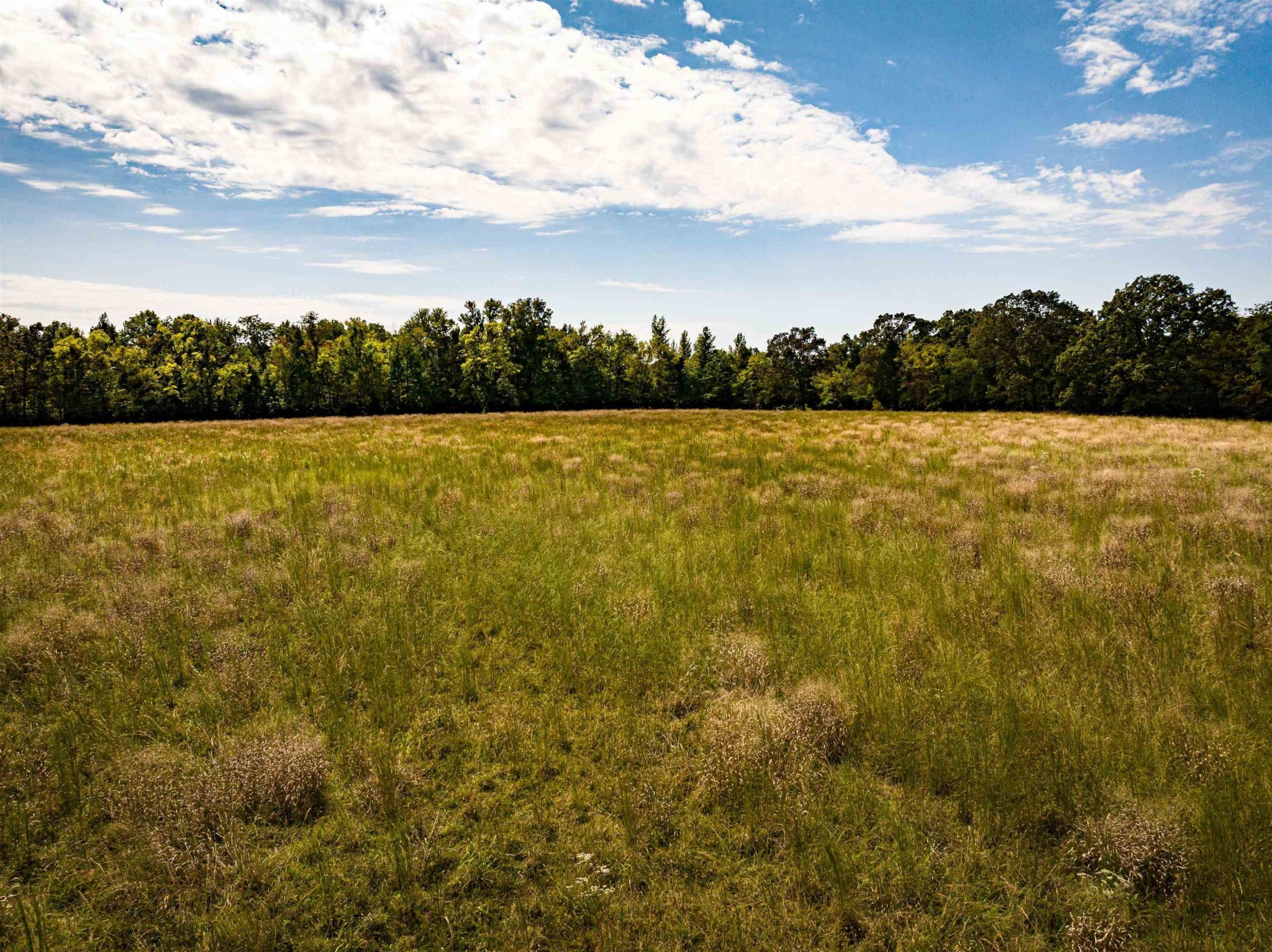 2642 Brodies Landing Road Parsons, TN 38363 - Photo 32 of 45 a view of an ocean from a yard