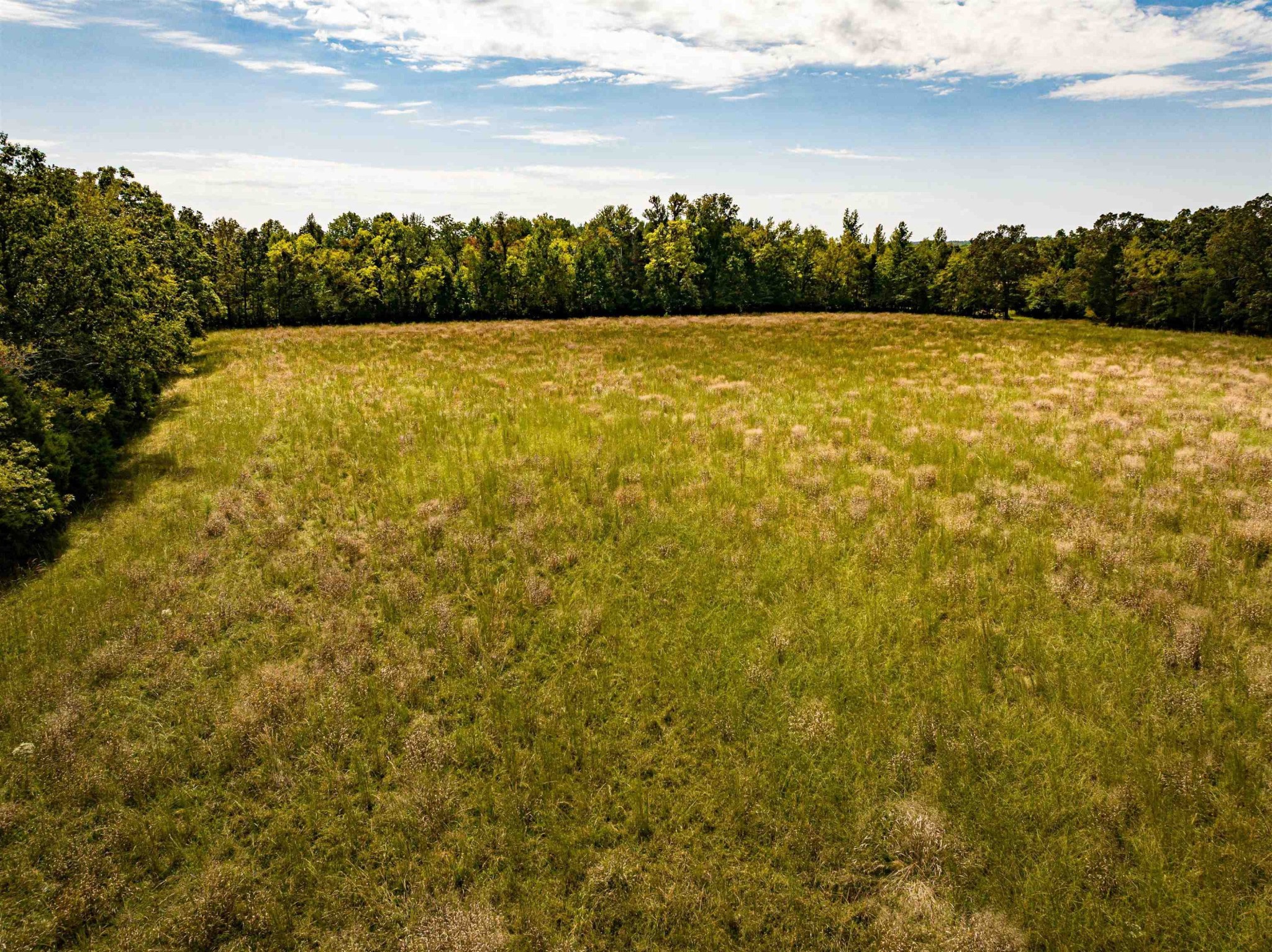 2642 Brodies Landing Road Parsons, TN 38363 - Photo 33 of 45 a view of an ocean from a yard