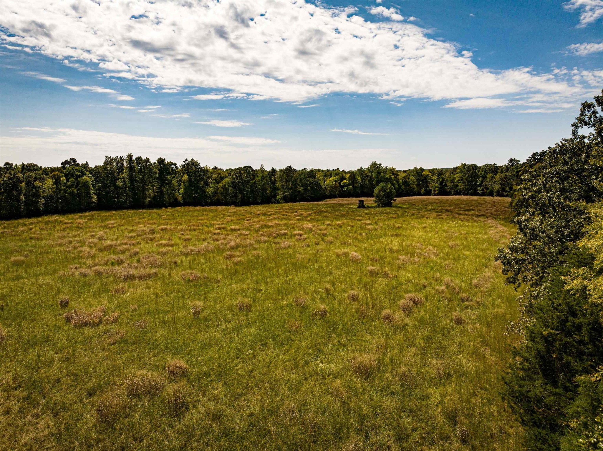 2642 Brodies Landing Road Parsons, TN 38363 - Photo 35 of 45 a view of an ocean