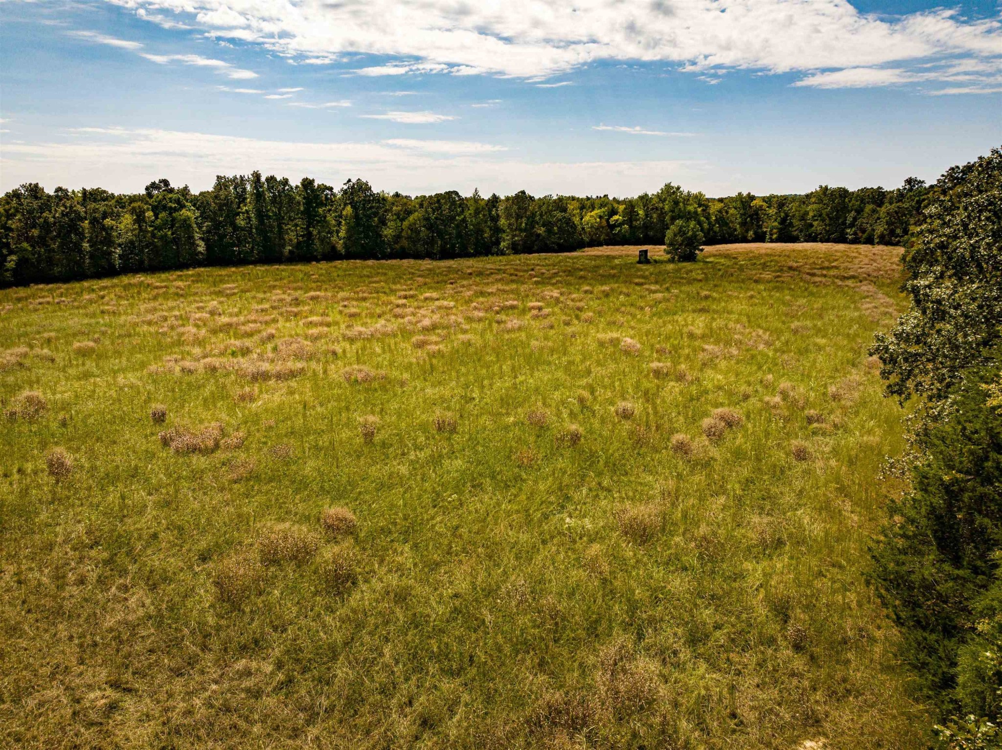 2642 Brodies Landing Road Parsons, TN 38363 - Photo 36 of 45 a view of an ocean and beach