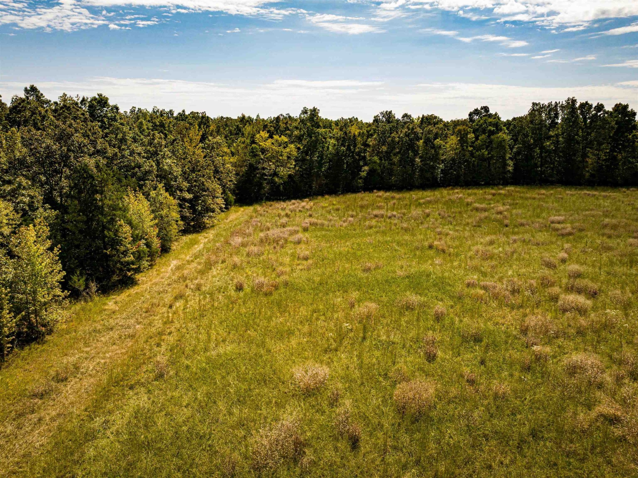 2642 Brodies Landing Road Parsons, TN 38363 - Photo 37 of 45 a view of a yard and an ocean
