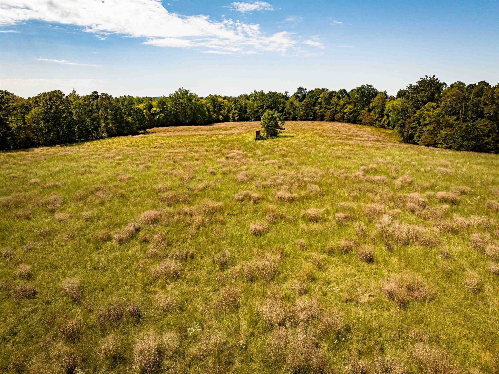 2642 Brodies Landing Road Parsons, TN 38363 - Photo 38 of 45 a view of an outdoor space and a yard