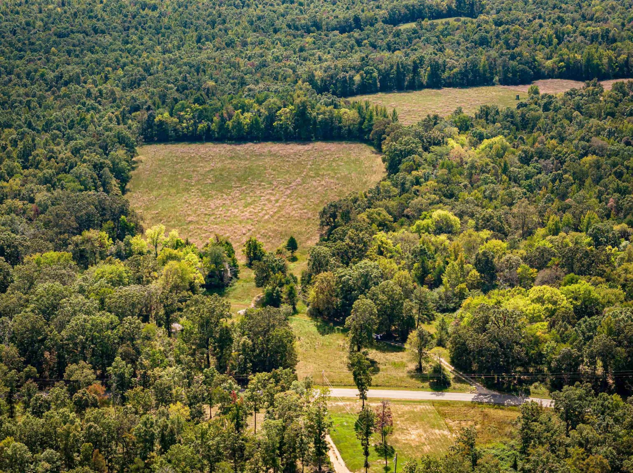 2642 Brodies Landing Road Parsons, TN 38363 - Photo 40 of 45 a view of a yard with a tree