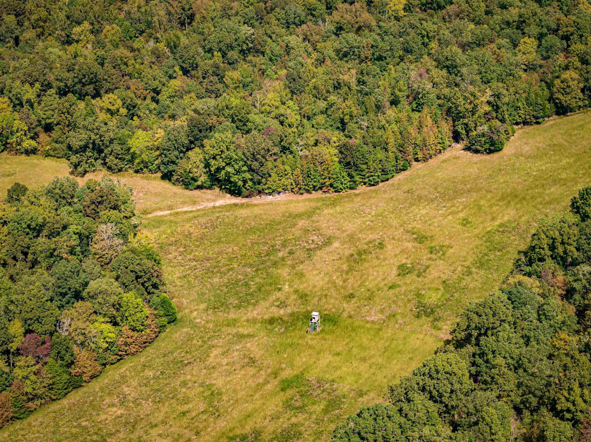 2642 Brodies Landing Road Parsons, TN 38363 - Photo 4 of 45 a view of a yard