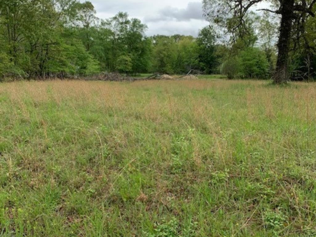 2642 Brodies Landing Road Parsons, TN 38363 - Photo 42 of 45 a view of outdoor space and yard