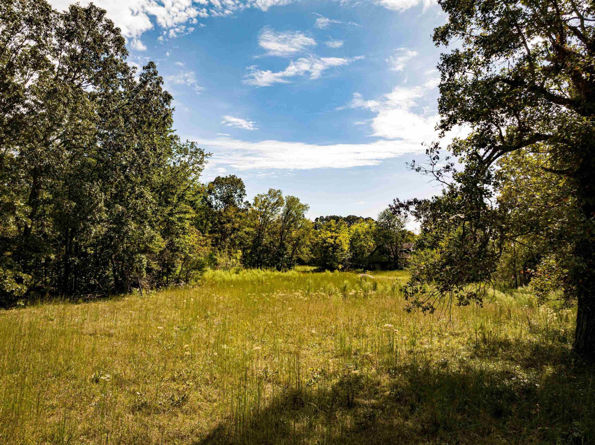 2642 Brodies Landing Road Parsons, TN 38363 - Photo 43 of 45