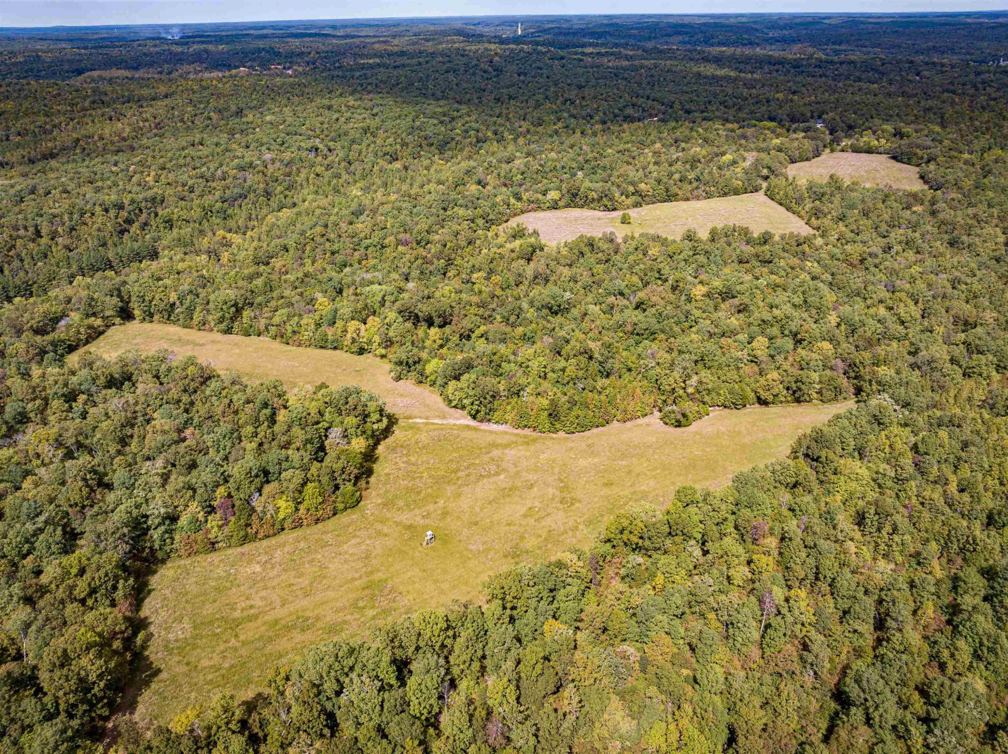 2642 Brodies Landing Road Parsons, TN 38363 - Photo 5 of 45 a view of a pathway both side of river and trees