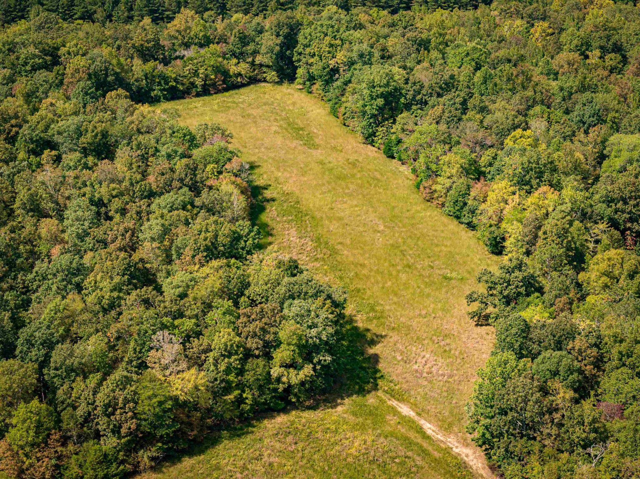 2642 Brodies Landing Road Parsons, TN 38363 - Photo 7 of 45