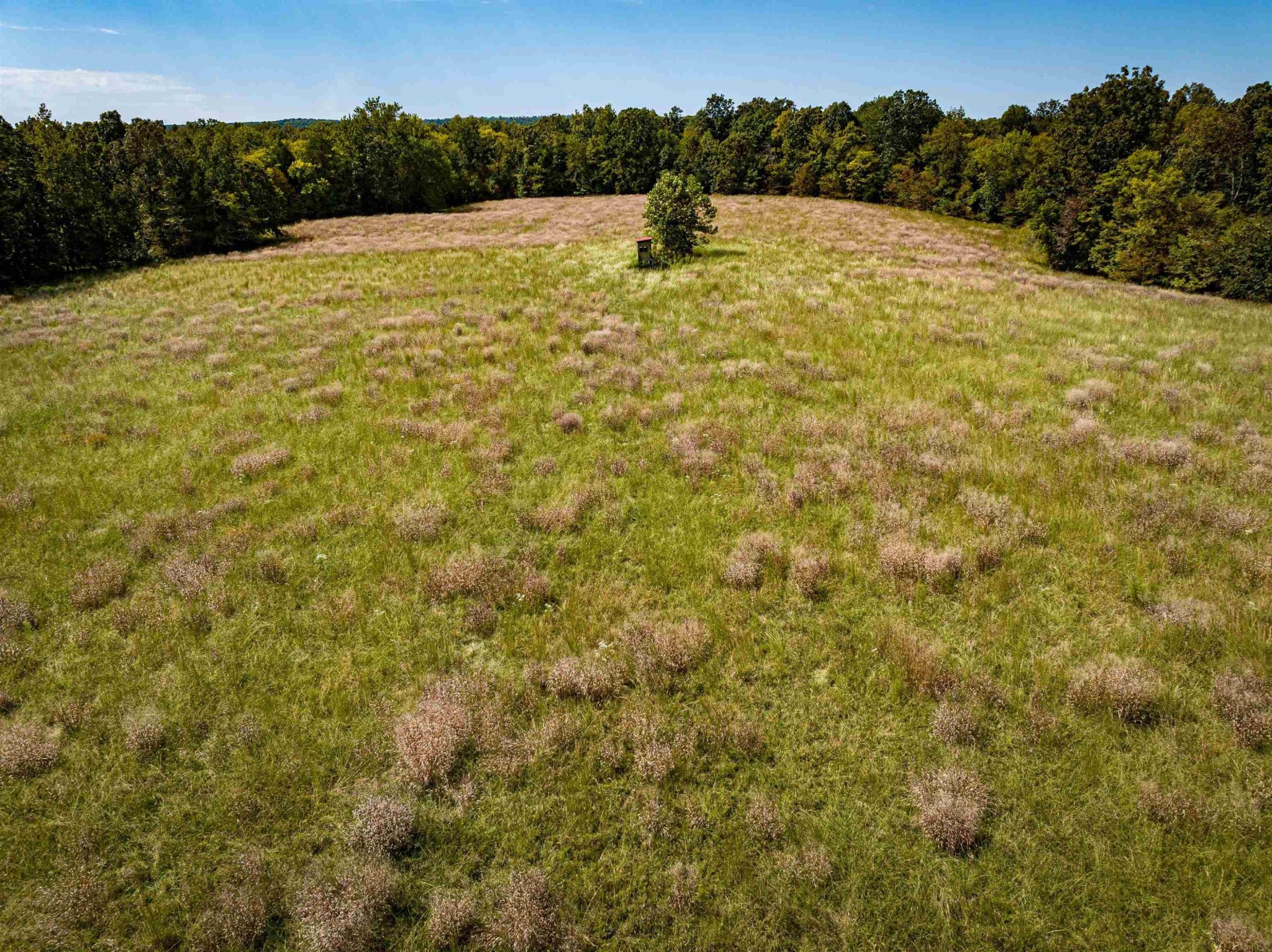 2642 Brodies Landing Road Parsons, TN 38363 - Photo 8 of 45 a view of an outdoor space and a yard