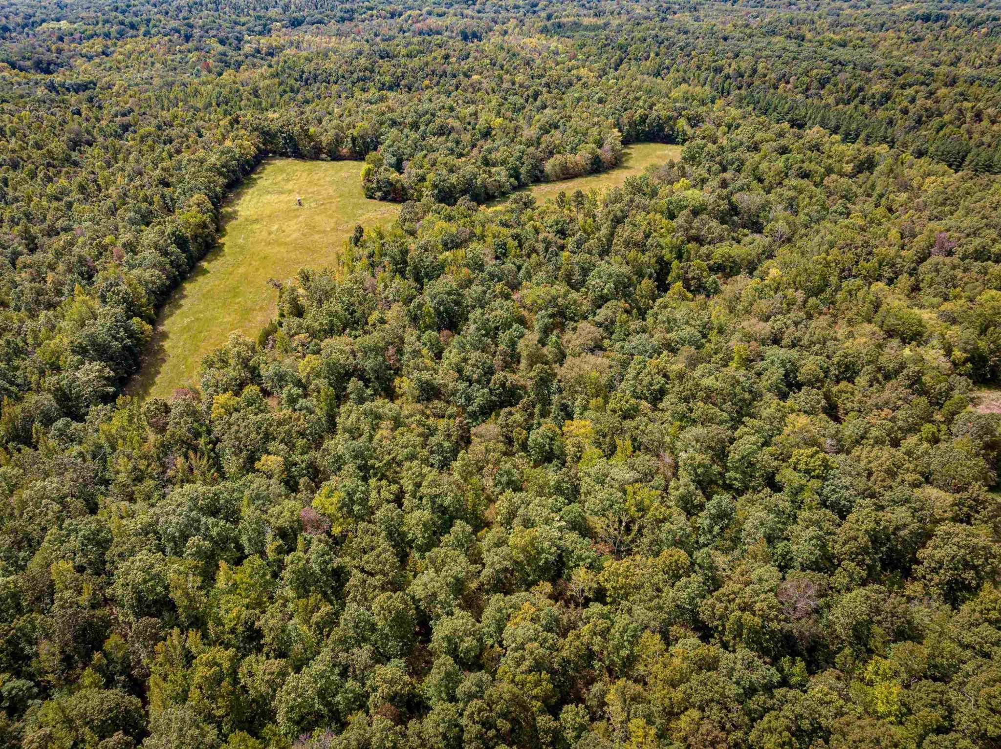 2642 Brodies Landing Road Parsons, TN 38363 - Photo 8 of 45
