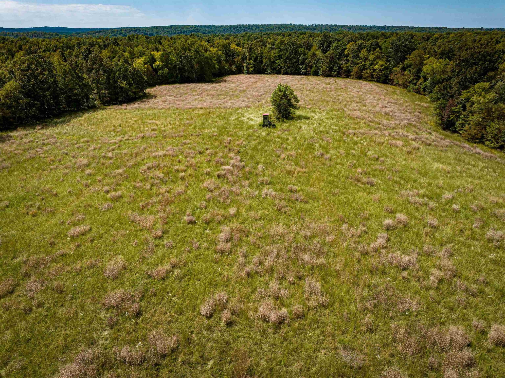 2642 Brodies Landing Road Parsons, TN 38363 - Photo 9 of 45 a view of a yard