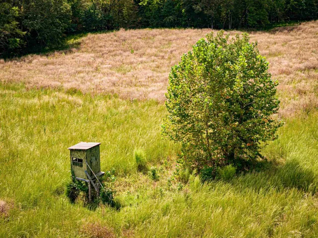 a view of outdoor space