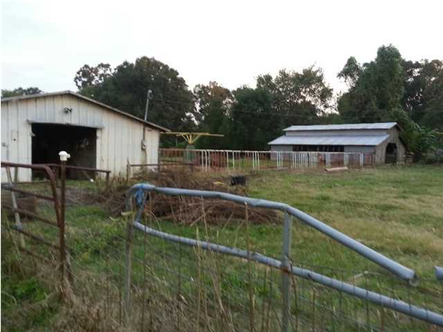 White Oak Road Washington, LA 70589 - Photo 2 of 5 Gallery Image 2