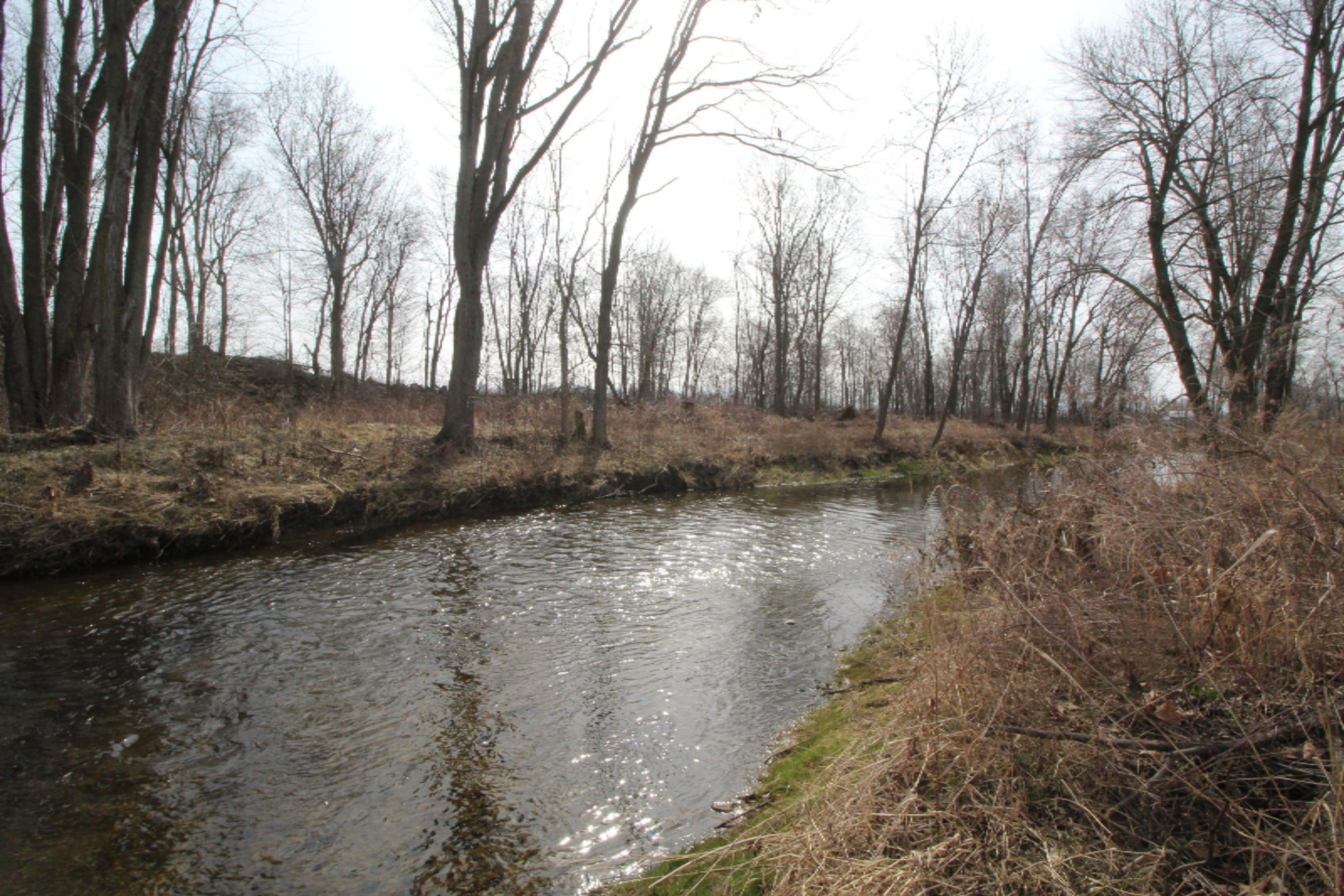 Lot 16 Old Barn Road Freeport, MI 49325 - Photo 4 of 7 coldwater river