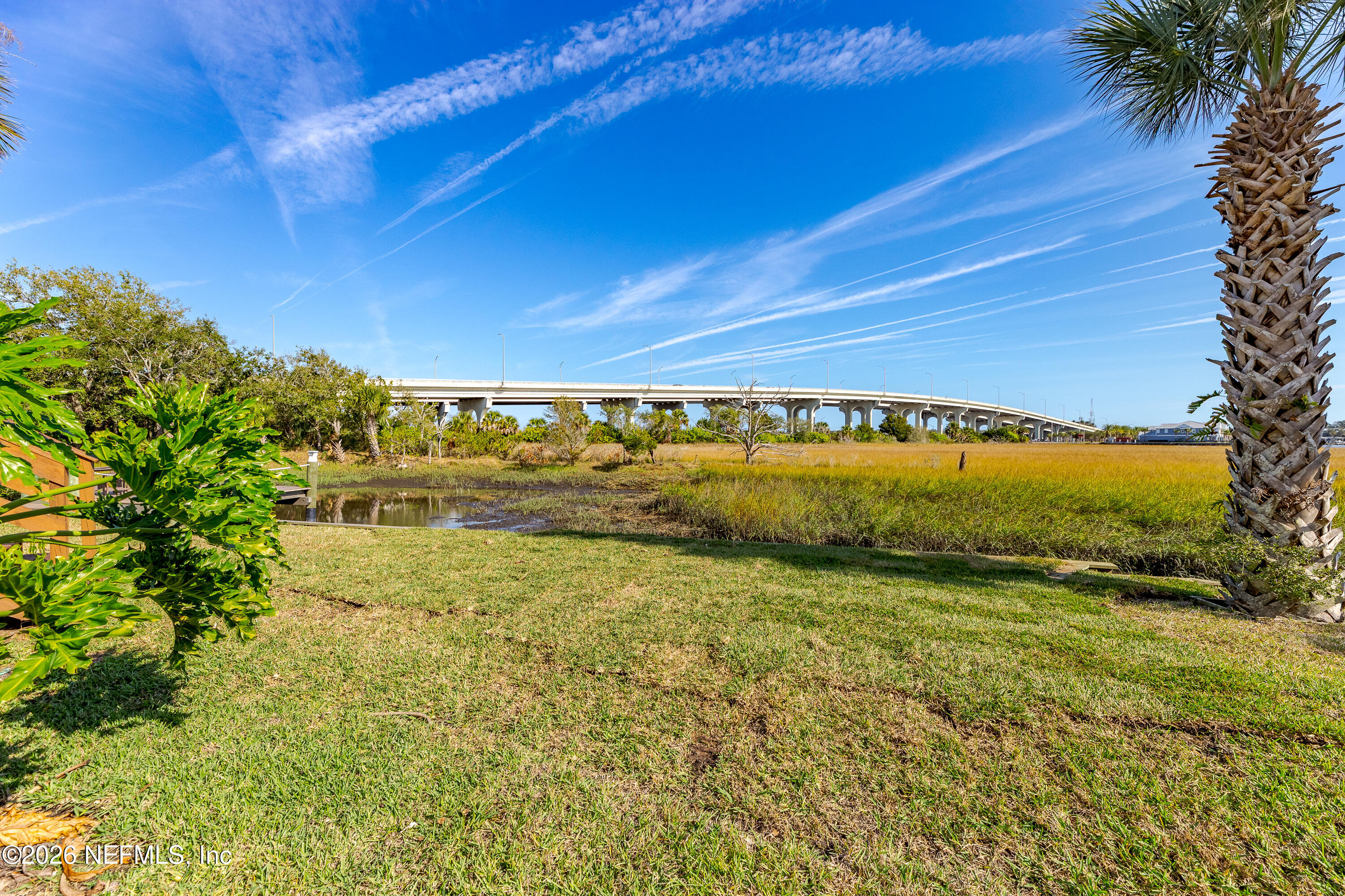 3327 Lighthouse Point Lane Jacksonville, FL 32250 - Photo 3 of 56 a view of a yard with an ocean view