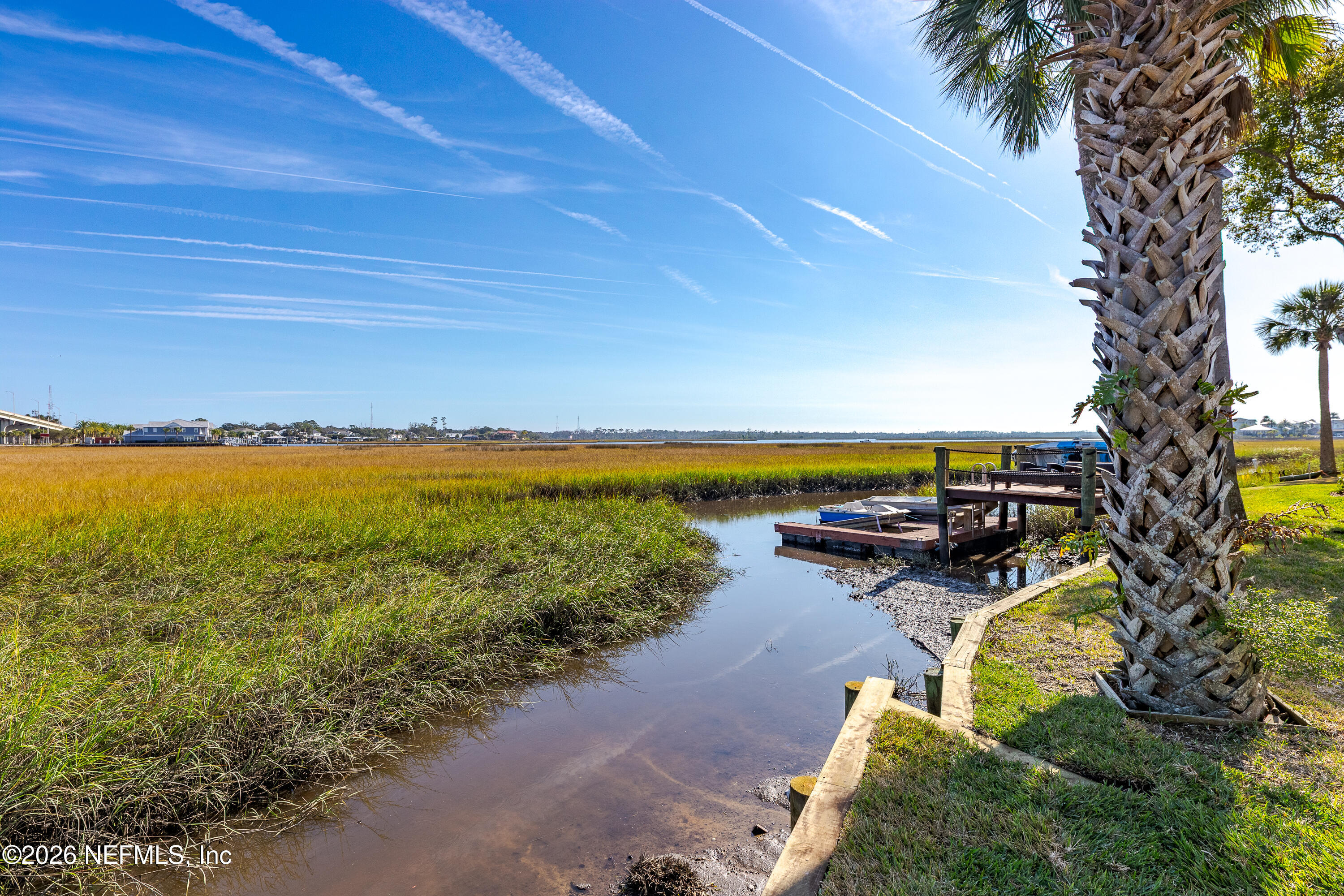 3327 Lighthouse Point Lane Jacksonville, FL 32250 - Photo 46 of 56 a view of a lake with a yard