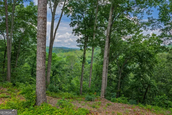 $119,000 | Lot 295 A Pebble Trace, Talking Rock, GA 30175