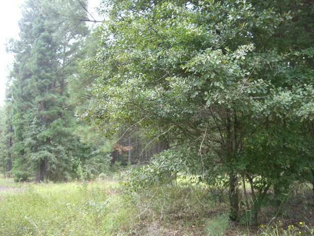 5 Mountain Springs Road Macon, GA 31217 - Photo 1 of 3 Primary Photo