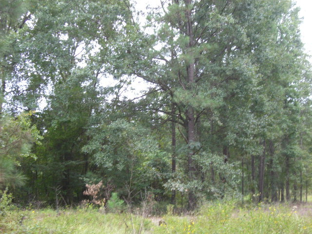 5 Mountain Springs Road Macon, GA 31217 - Photo 2 of 3 Additional Photo
