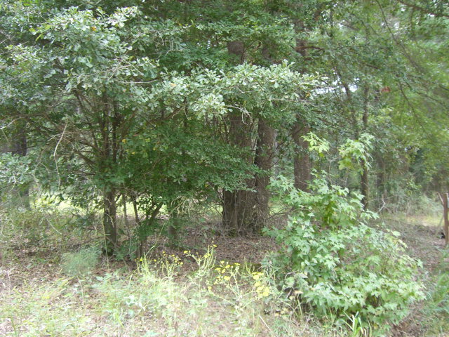 5 Mountain Springs Road Macon, GA 31217 - Photo 3 of 3 Additional Photo