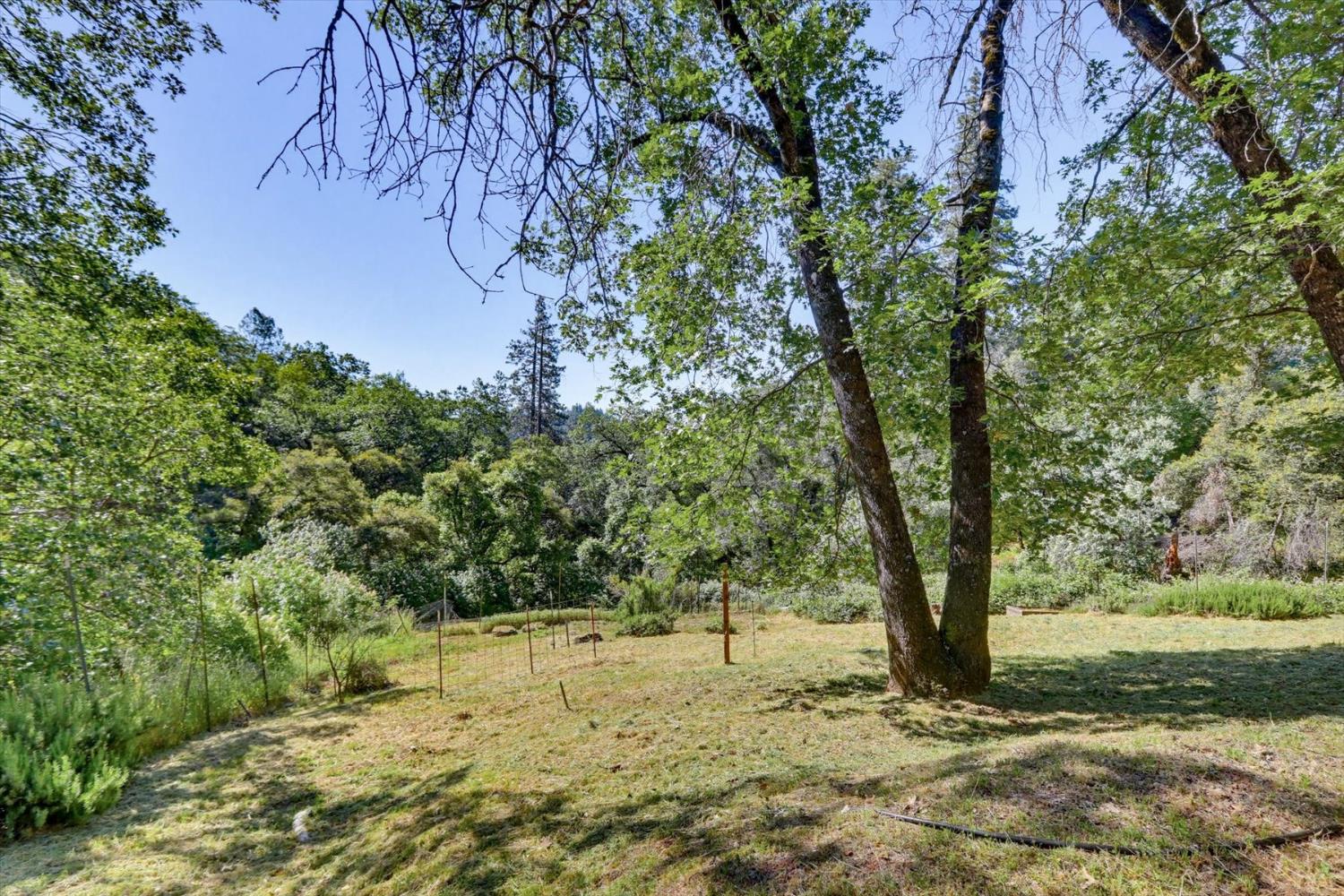 19953 Bear Ridge Road Grass Valley, CA 95949 - Photo 54 of 89