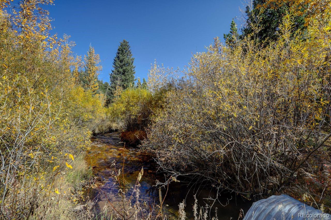 7505 County Road 43 Bailey, CO 80421 - Photo 29 of 32