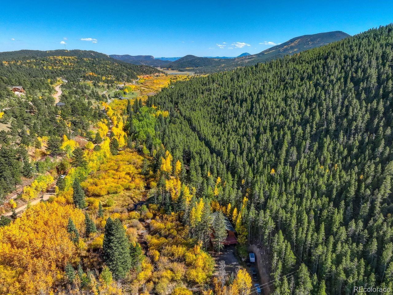 7505 County Road 43 Bailey, CO 80421 - Photo 6 of 32