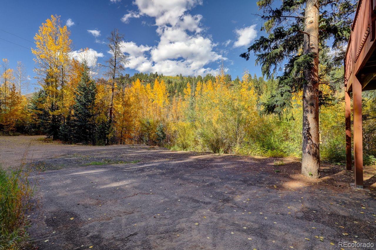 7505 County Road 43 Bailey, CO 80421 - Photo 7 of 32