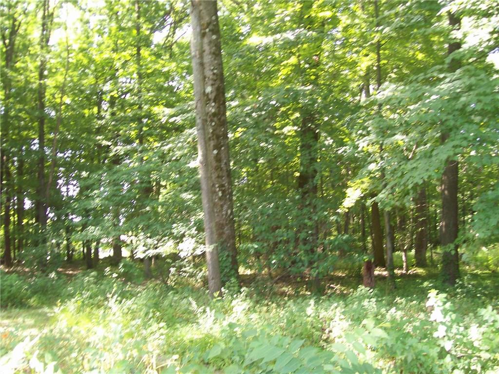 4447 Oakdale Road Butler, PA 16001 - Photo 3 of 24 Wooded grove in rear with walking trails