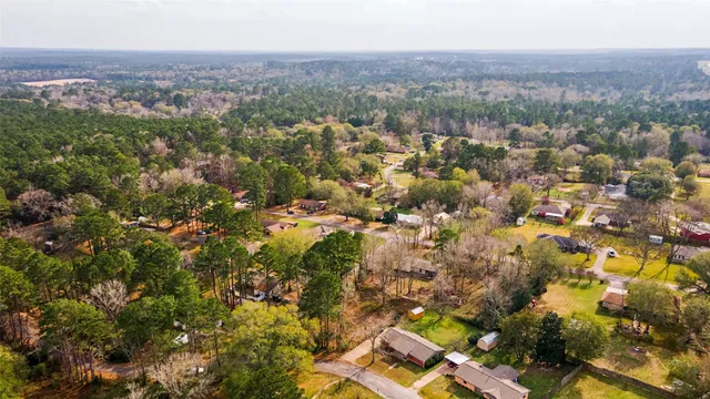 an aerial view of forest