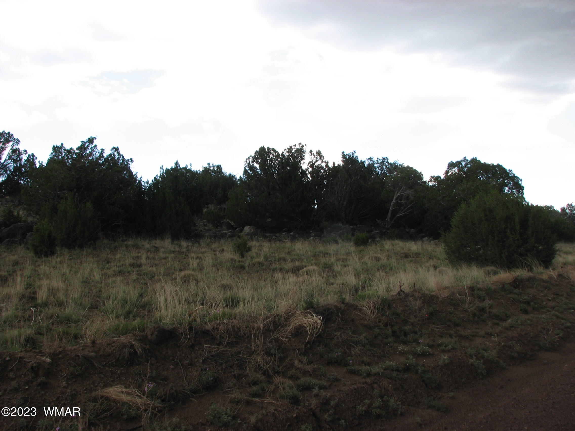 21-23 County Road Concho, AZ 85924 - Photo 3 of 4 a view of a yard
