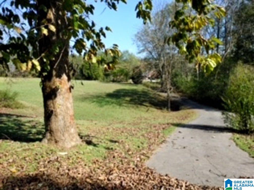 1365 Center Hill Road Trafford, AL 35172 - Photo 3 of 20