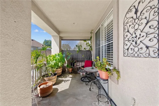 a room with furniture and a potted plant