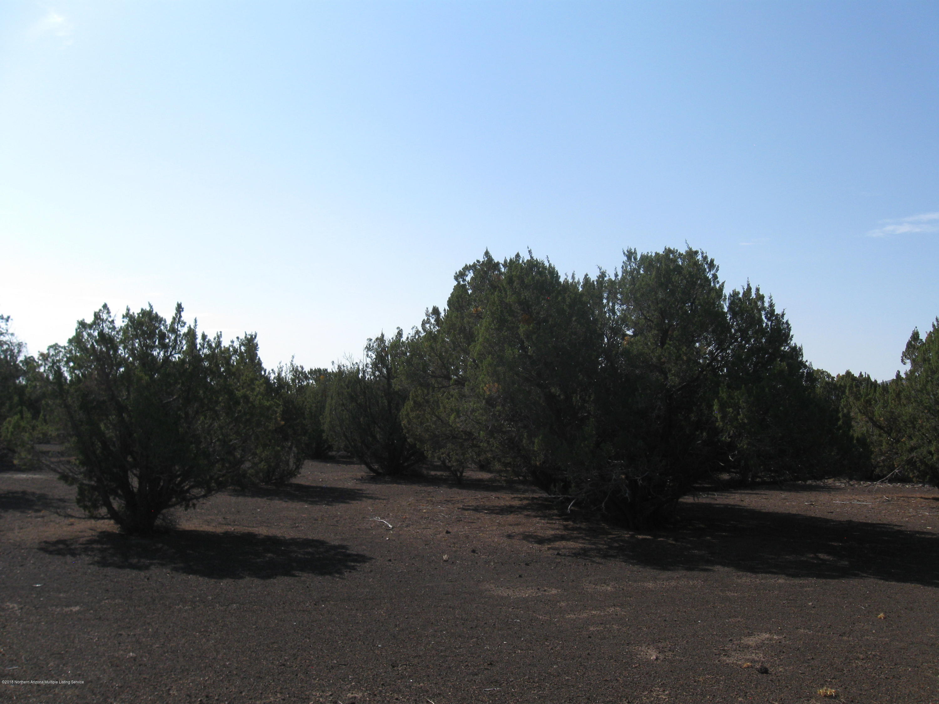 24004 L Alpine Ranch Flagstaff, AZ 86004 - Photo 2 of 4 IMG_0449
