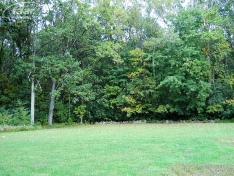 7575 Moorish Road Bridgeport, MI 48722 - Photo 12 of 14 20350659-11.JPG