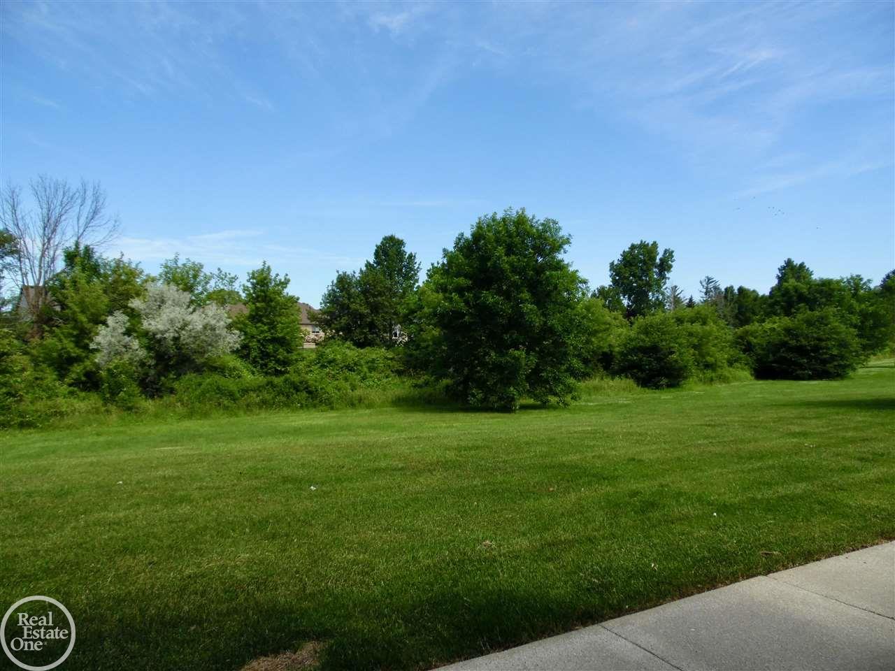 46099 Rhodes Drive Macomb, MI 48044 - Photo 30 of 30 50080418-32.JPG