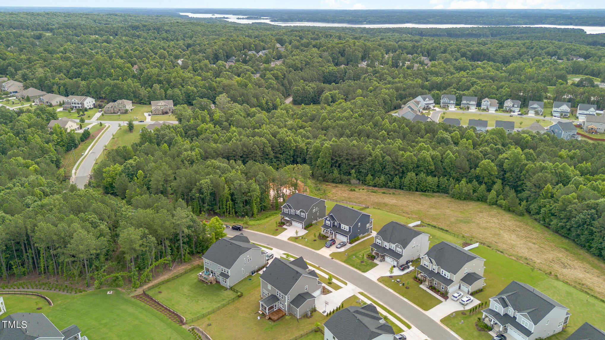 171 High Woods Ridge Pittsboro, NC 27312 - Photo 44 of 51 a view of a city from a balcony