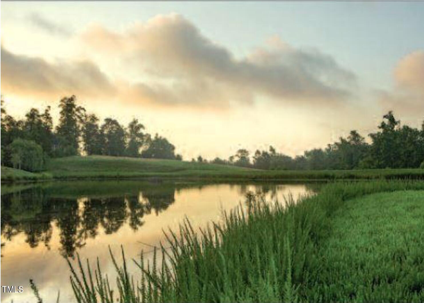 171 High Woods Ridge Pittsboro, NC 27312 - Photo 47 of 51 a view of lake with green space