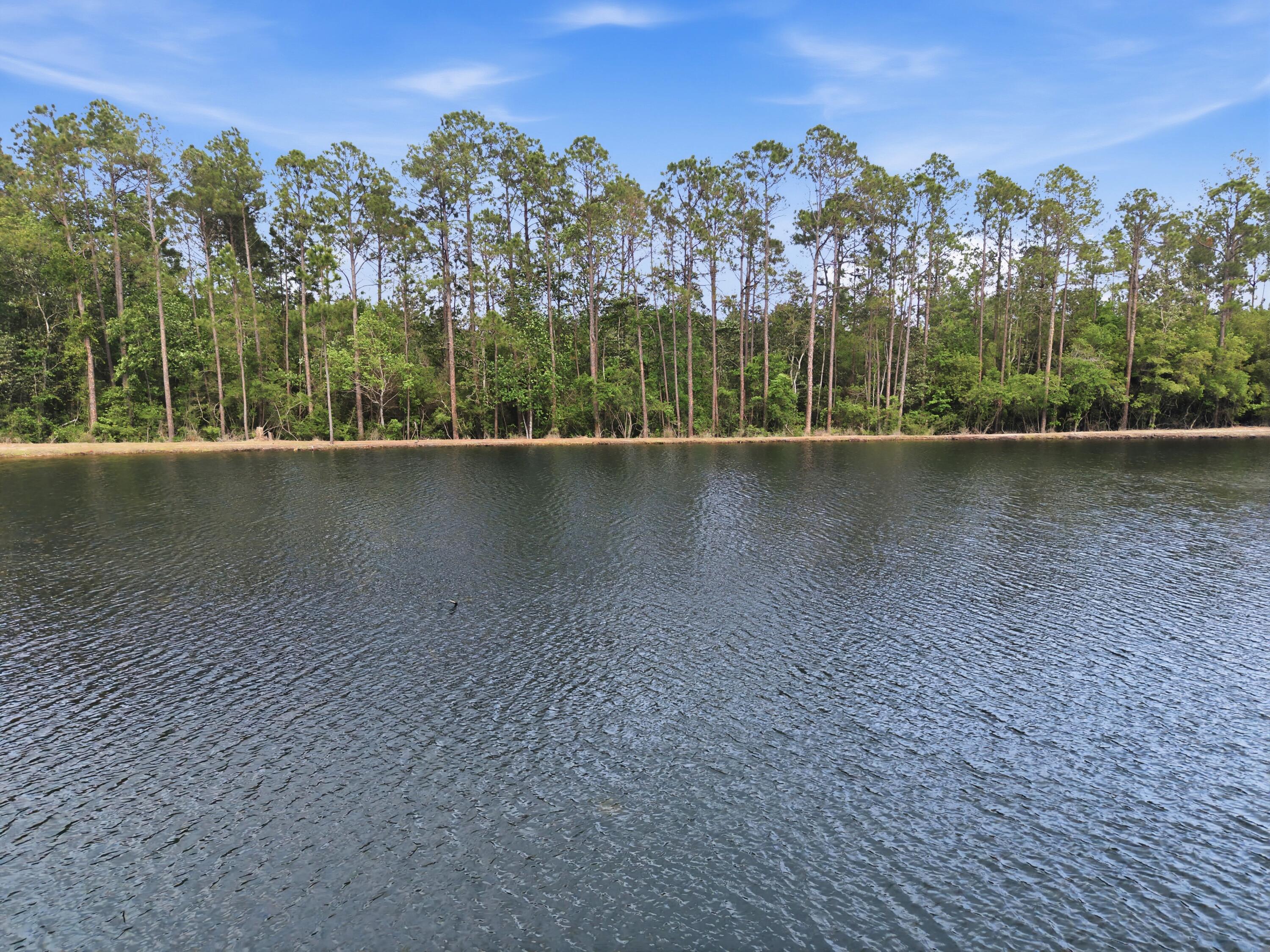 261 Wilkerson Road DeFuniak Springs, FL 32433 - Photo 27 of 76 DJI_20260429155814_0089_D