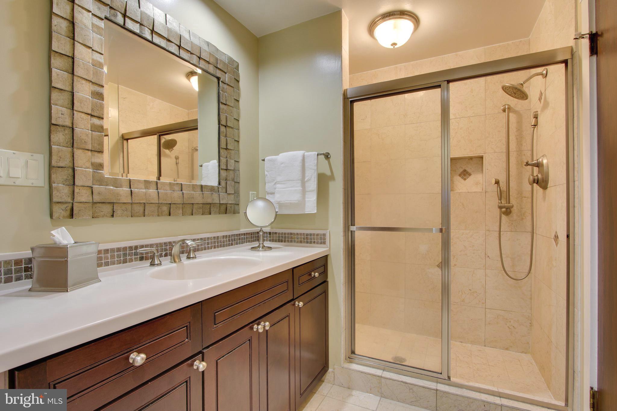 1830 Frederick Road Catonsville, MD 21228 - Photo 38 of 55 En-suite bath with custom shower