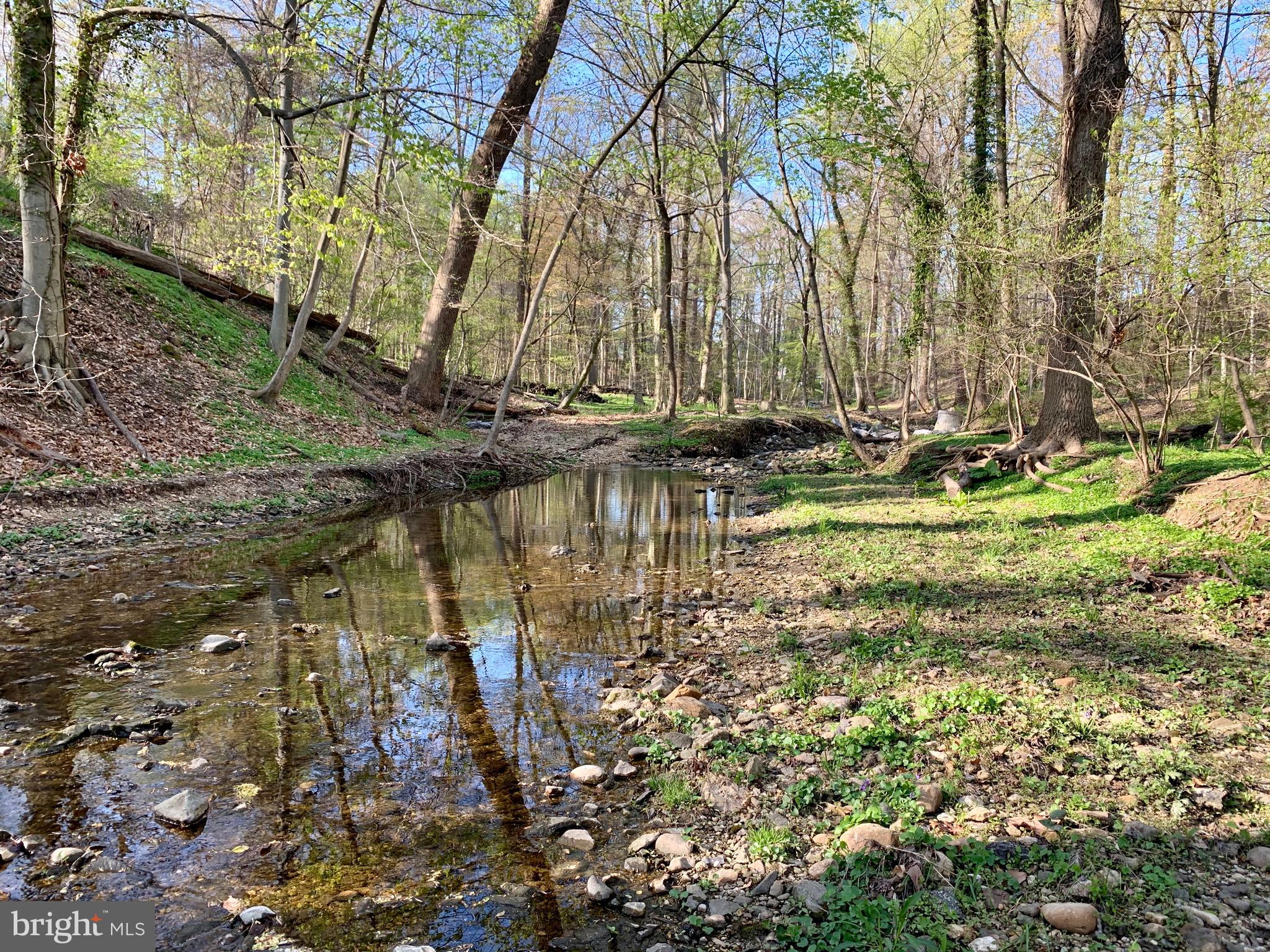 1830 Frederick Road Catonsville, MD 21228 - Photo 50 of 55 Creek on rear or property
