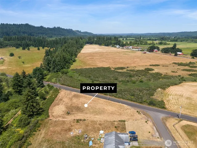 a view of a lake with a mountain