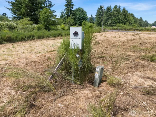 a view of a dry yard
