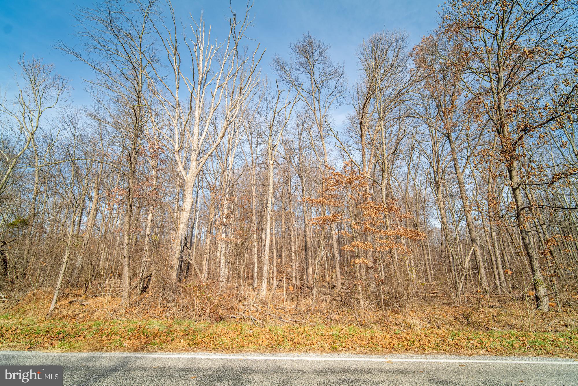 325 Mt Airy Road Lewisberry, PA 17339 - Photo 7 of 8 Gallery Image 7