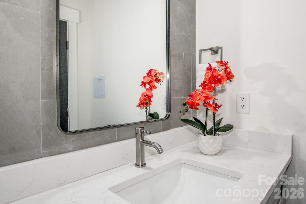 6229 Mountain Grove Road Hickory, NC 28602 - Photo 29 of 41 a bathroom with a sink a vanity and a potted plant